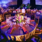 Professional Event Organizer